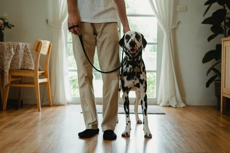 caller documentation linked to 111 90 150 188 and alerts