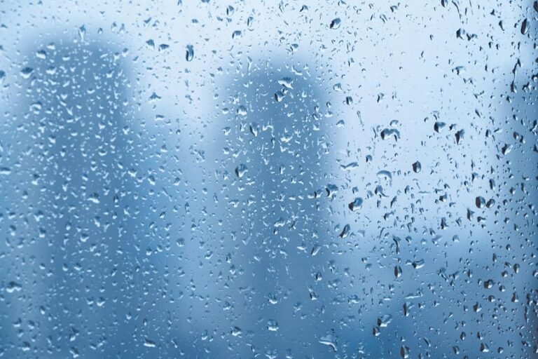 competitive digital outlook forecasted performance