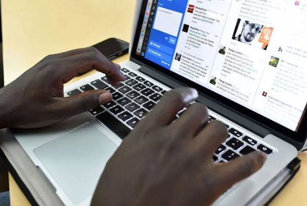How to Discover Less-Known Employment Fields